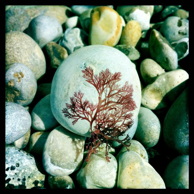 &copy; Na&iuml;ade Plante&nbsp;